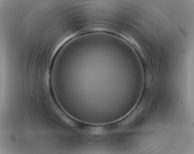 X0000113340798200909151130