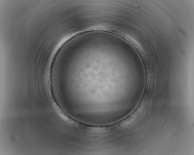 X0000113340800200909151130