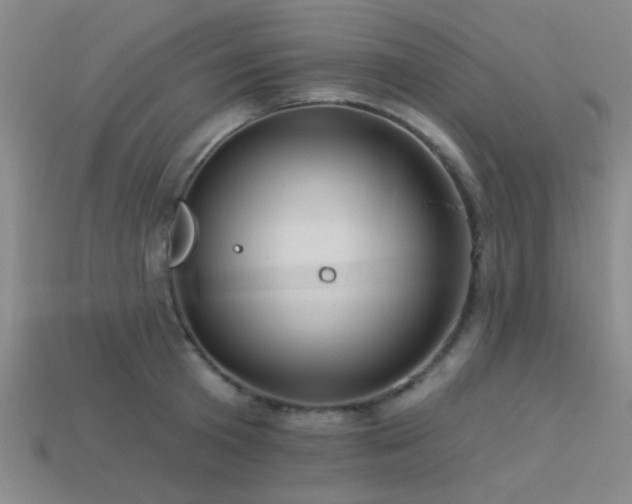 X0000113340801200909151130