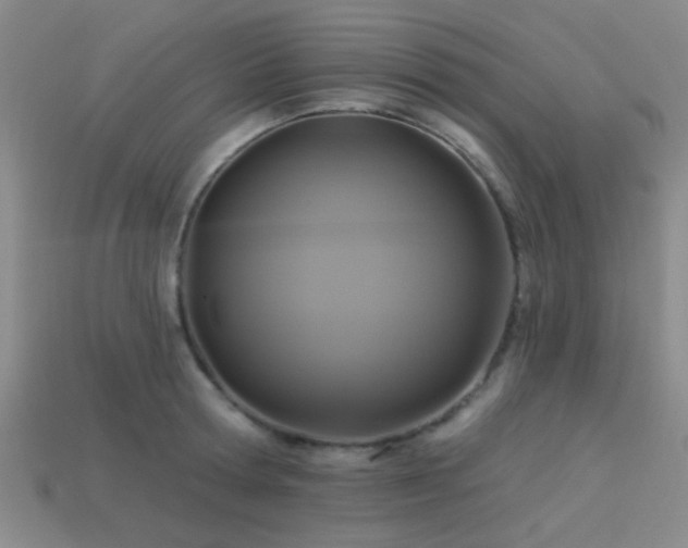 X0000113340802200909151130