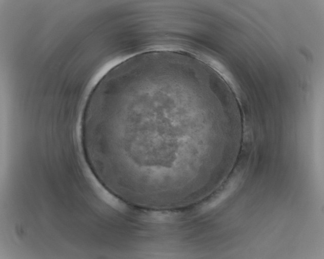 X0000113340803200909151130