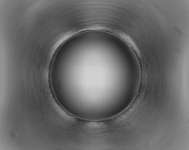 X0000113340805200909151130