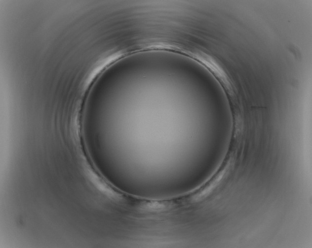 X0000113340806200909151130