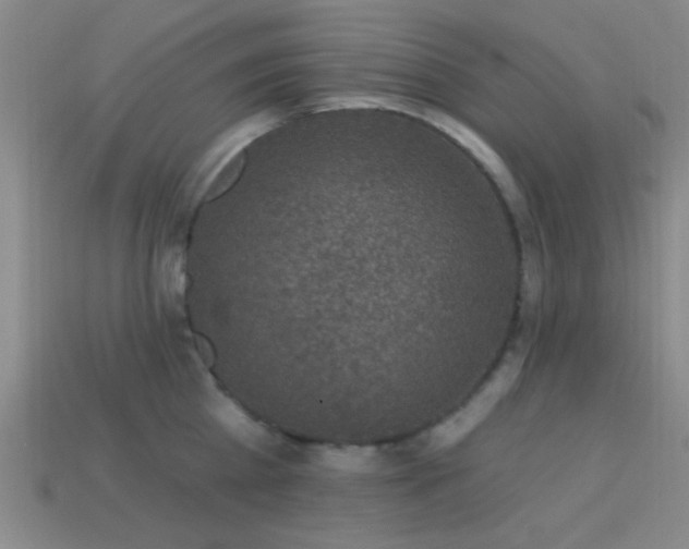 X0000113340809200909151130