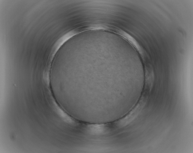 X0000113340810200909151130