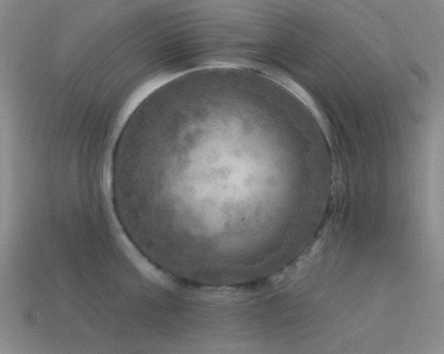 X0000113340811200909151130