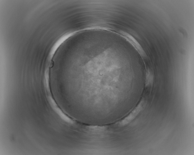 X0000113340812200909151130