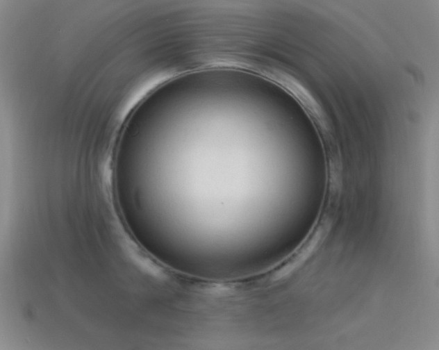 X0000113340814200909151130