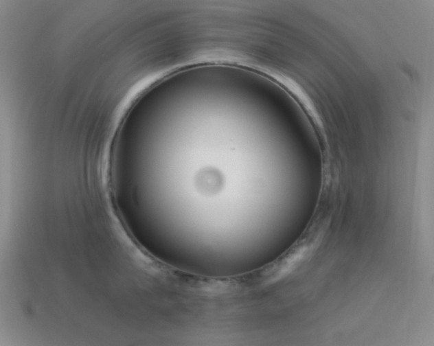 X0000113340815200909151130