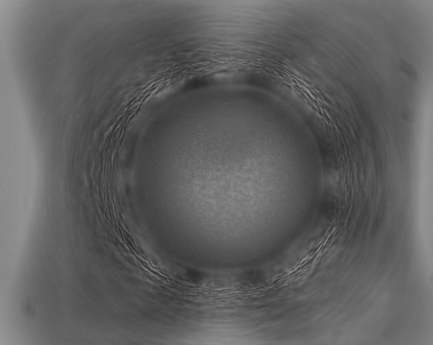 X0000113340817200909151129