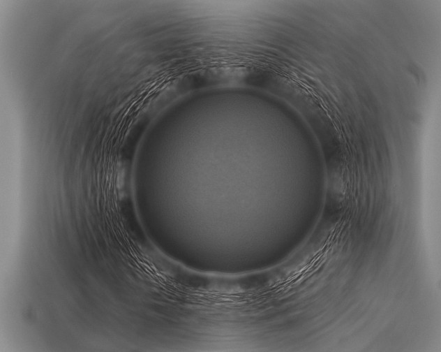 X0000113340818200909151129