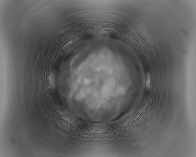 X0000113340819200909151129