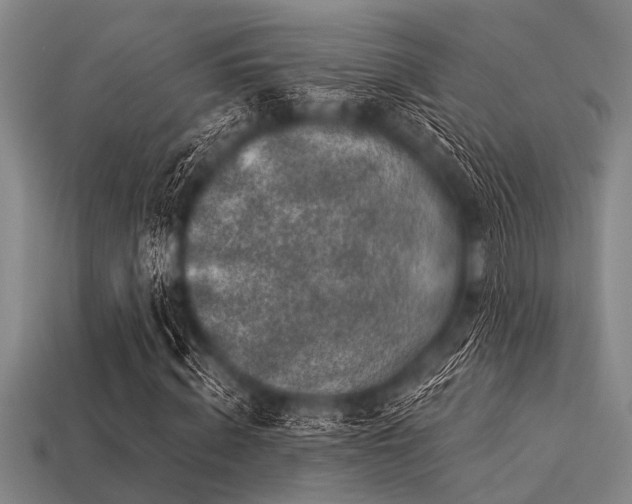 X0000113340820200909151129