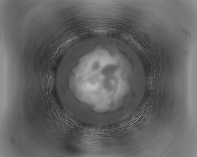 X0000113340821200909151129