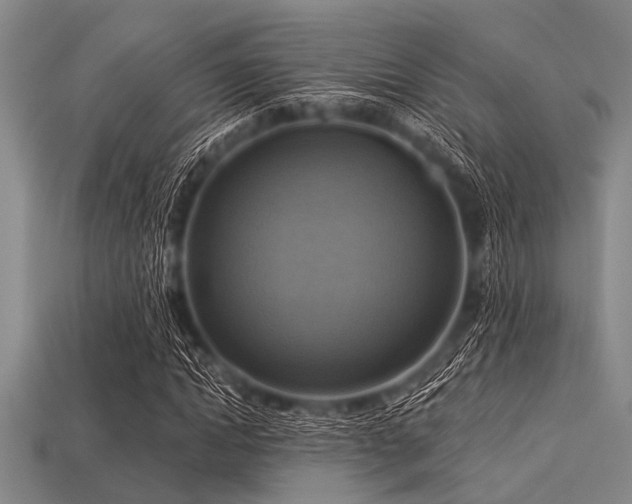 X0000113340822200909151129