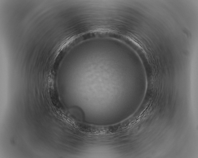 X0000113340823200909151129