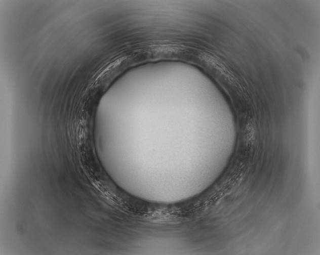 X0000113340824200909151129