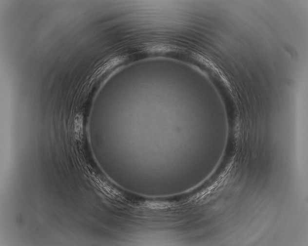 X0000113340825200909151129