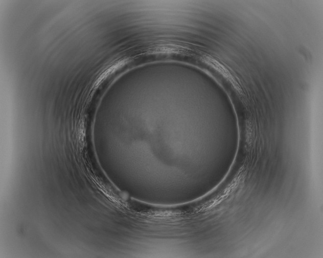 X0000113340826200909151129