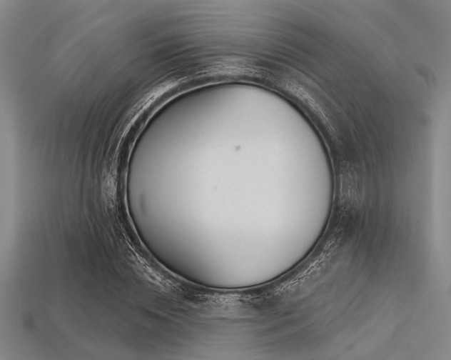 X0000113340828200909151129