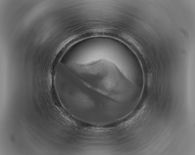 X0000113340829200909151129