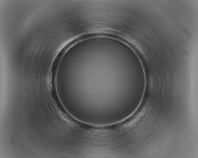X0000113340830200909151129