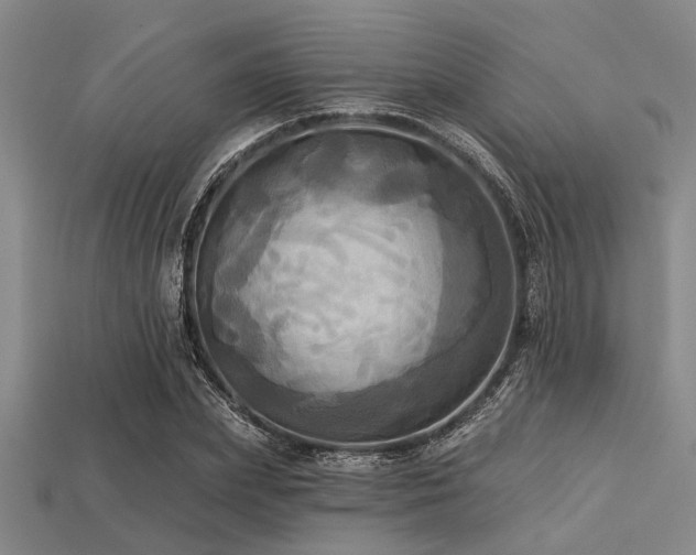 X0000113340831200909151129