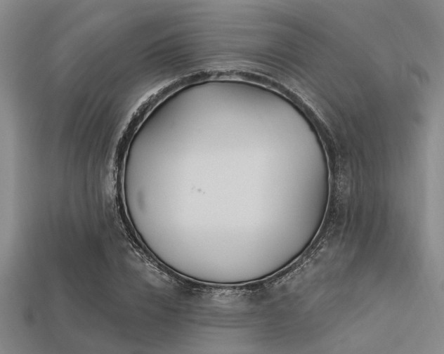 X0000113340832200909151129