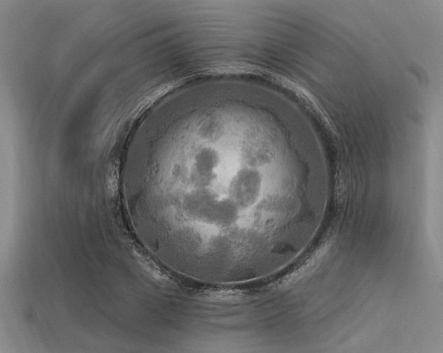 X0000113340833200909151129