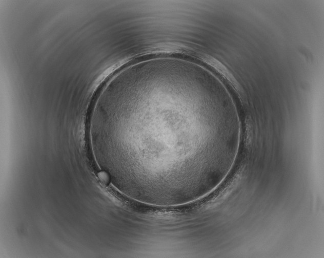 X0000113340834200909151129