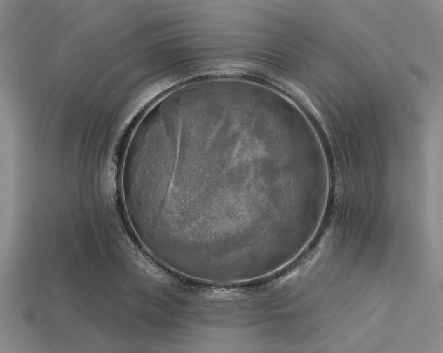 X0000113340835200909151129
