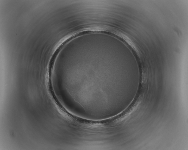 X0000113340837200909151129