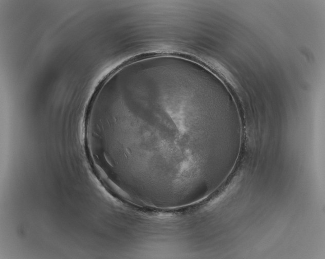 X0000113340839200909151129