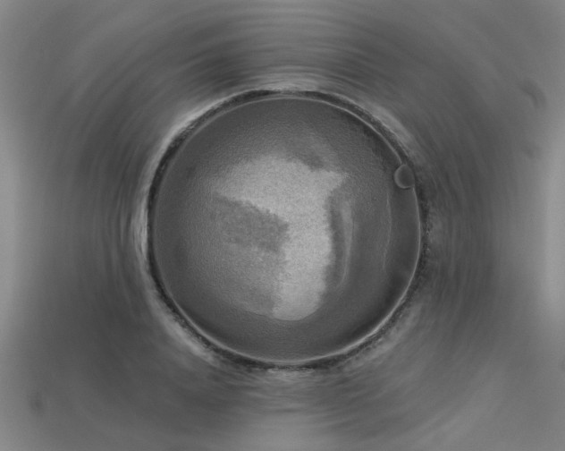 X0000113340840200909151129