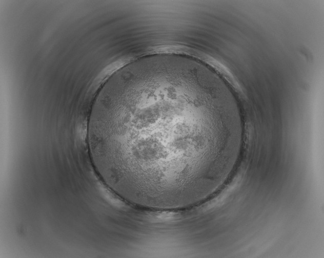 X0000113340841200909151129