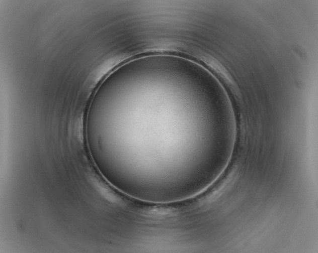 X0000113340842200909151129