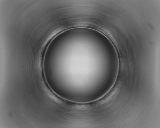 X0000113340843200909151129