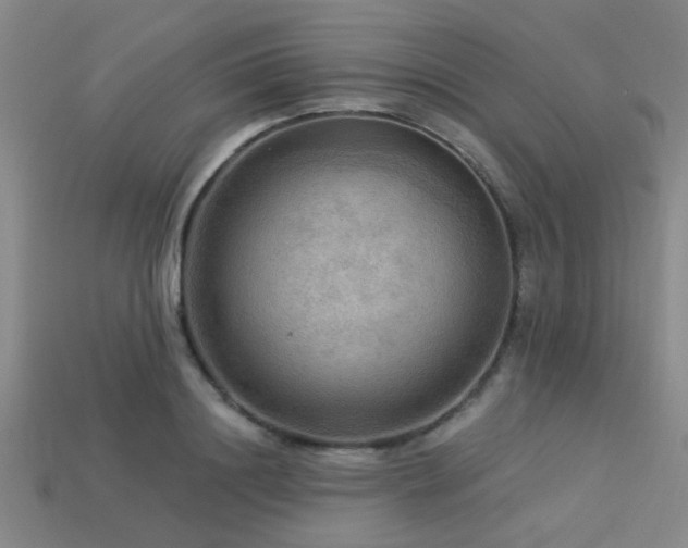X0000113340844200909151129