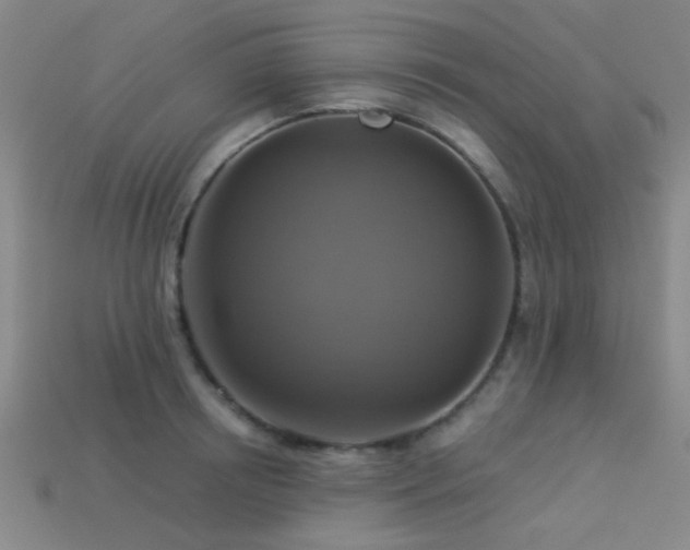 X0000113340850200909151130