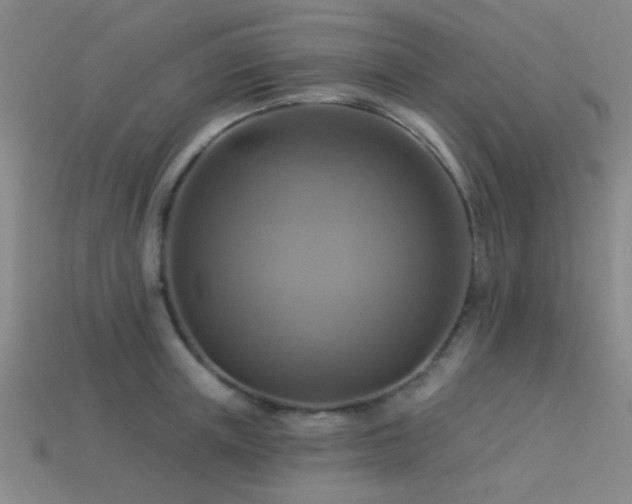 X0000113340851200909151130