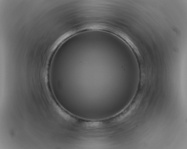 X0000113340853200909151130
