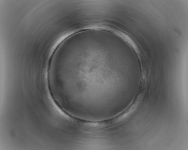 X0000113340855200909151130