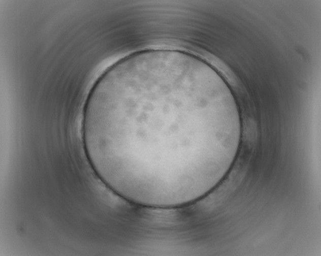 X0000113340856200909151130