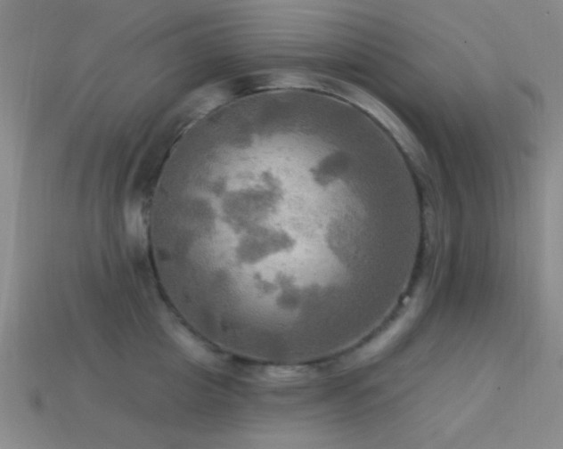 X0000113340857200909151130