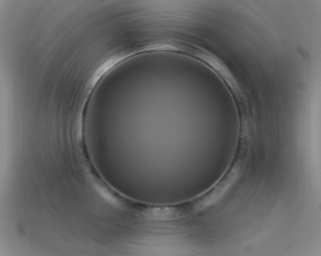 X0000113340858200909151130