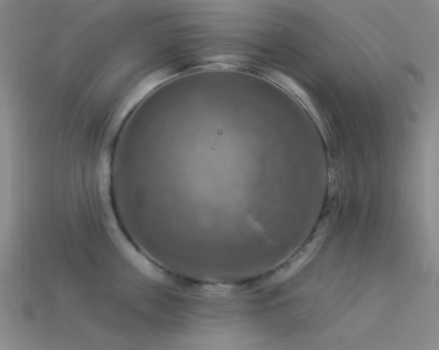 X0000113340859200909151130