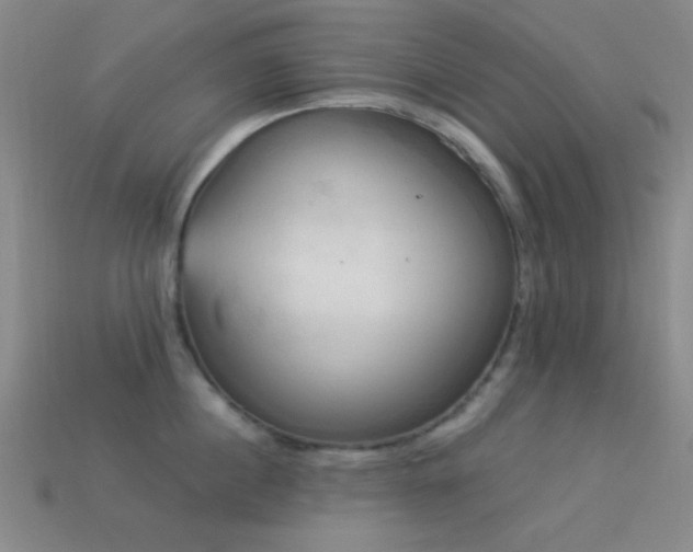 X0000113340860200909151130