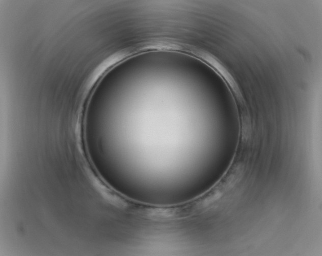X0000113340861200909151130