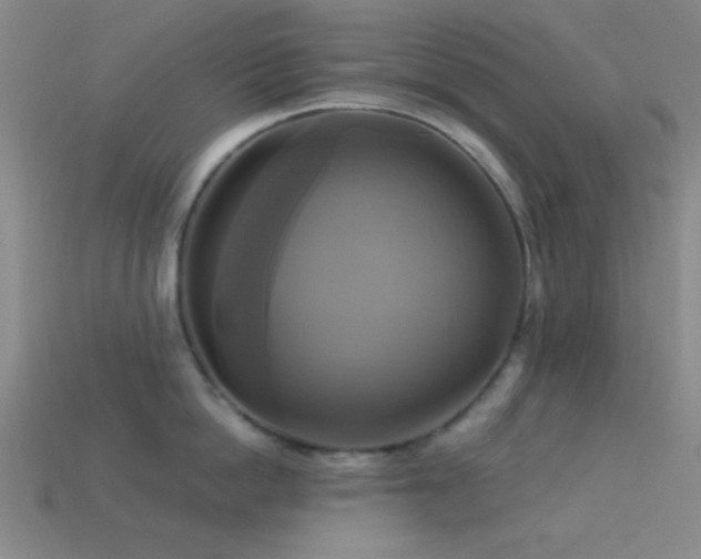 X0000113340862200909151130