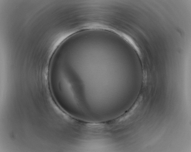 X0000113340863200909151130